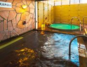 東京荻窪 武蔵野天然温泉 なごみの湯の写真1