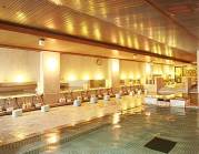 白樺湖池の平温泉 湯めぐりワールドの写真1