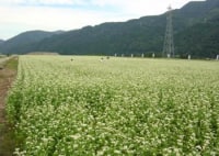 農村体験施設 にわか工房