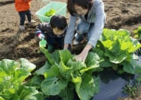 シェア畑新横浜