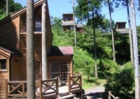 岩屋キャンプ場