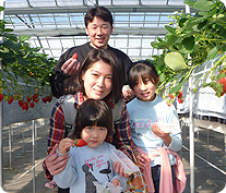 いちご狩り　前田農園