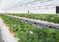 うららか・のうえん実里