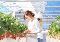 上千野観光体験果樹園