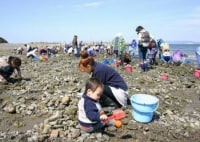 渥美半島 伊川津 潮干狩り場