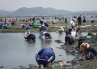 小中山地区 潮干狩り場