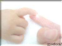 ハミング・バス