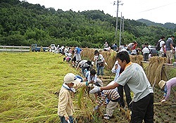 みねおかいきいき館
