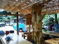 吉野フォレストヒルズ　花ごころ