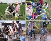 日進野菜塾・前川の畑と田んぼ