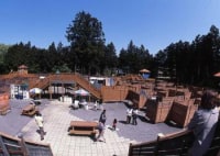 巨大迷路パラディアム