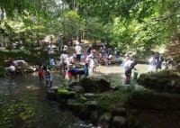 静岡県県民の森