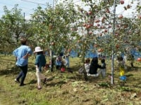 赤来高原観光りんご、ブルーベリー園
