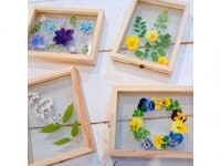 お花と雑貨　サザンクロス