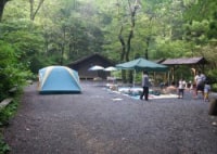 日影沢キャンプ場