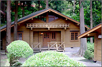 氷川キャンプ場