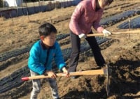 マイファーム体験農園 江南宮田