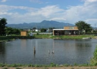 フィッシュイン前橋