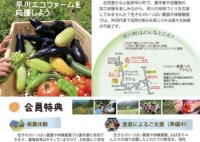 おばあちゃんたちの店