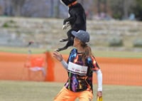 Dog ciTy　犬の総合施設