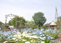 里山ホテル ときわ路