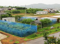 ベリーガーデン・アウガ