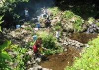 みのげマス釣りセンター