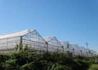 大府南いちごファーム