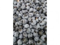 みらいガーデンファーム