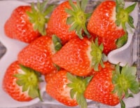 イチゴ屋けんちゃん