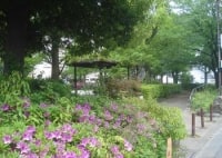 東糀谷五丁目公園