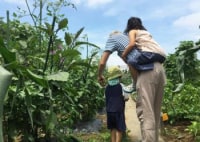 柏あけぼのファーム