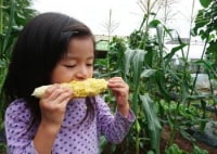 シェア畑 神戸西