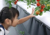 せんだい農業園芸センター みどりの杜　観光農園