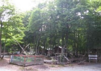 ぽよよんの森オートキャンプ場