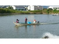 鳴門クルマエビ有限会社