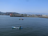 徳島新鮮なっとく市