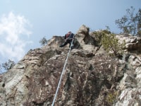 TOGAWAレクサー　ダッキーハウス