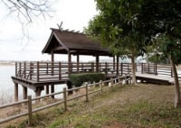 寺田池・明神の森