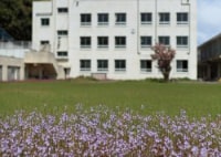 しまのテーブルごごしま