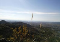 唐澤山神社ハイキングコース