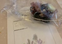 ROSA flower salon main a la pâté ROSA