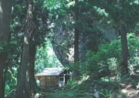 恐竜渓谷ふくい勝山ジオパーク