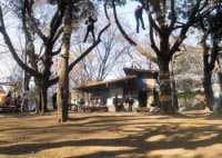 羽根木プレーパーク