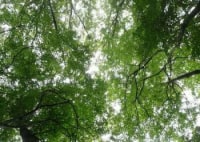 さいたま緑のトラスト2号地