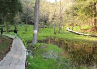 八戸北丘陵下田公園