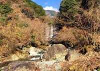 蜂花苑ミロクキャンプ場　MIROKUCAMPFIELD