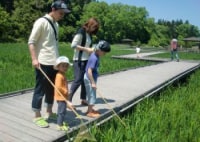 柏崎・夢の森公園