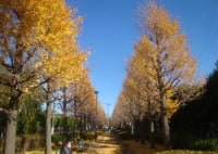 西亀有せせらぎ公園