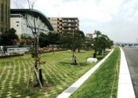 江戸川妙典河川敷スーパー堤防自由広場